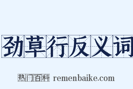 劲草行反义词是什么意思的图片
